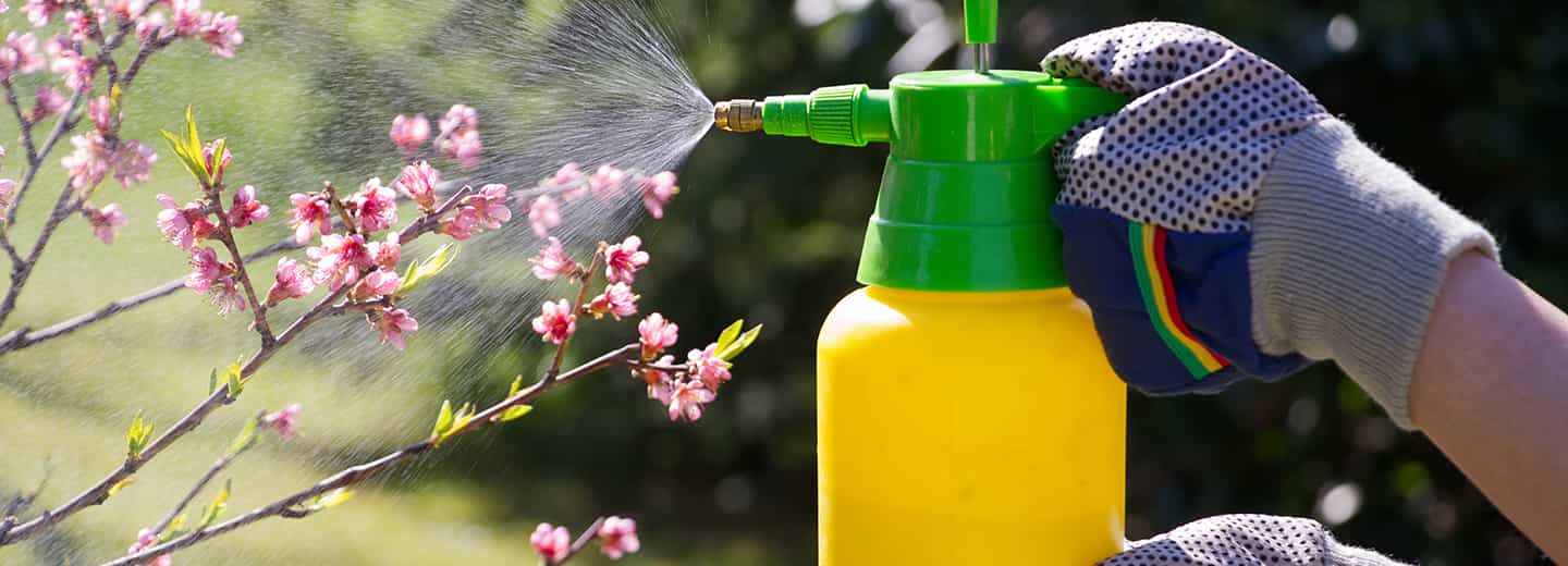 Herbicide
