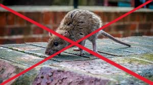 Rodenticide